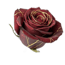 Pack Heridas — rosa con kintsugi en oro