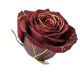 Pack Heridas — rosa con kintsugi en oro