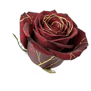 Pack Heridas — rosa con kintsugi en oro